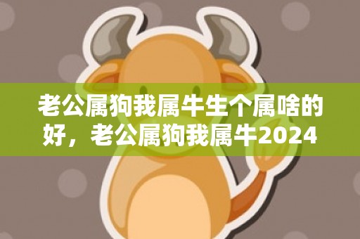 老公属狗我属牛生个属啥的好，老公属狗我属牛2024年可以怀孕生孩子吗