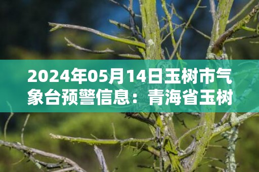 2024年05月14日玉树市气象台预警信息：青海省玉树藏族自治州发布雷电黄色预警