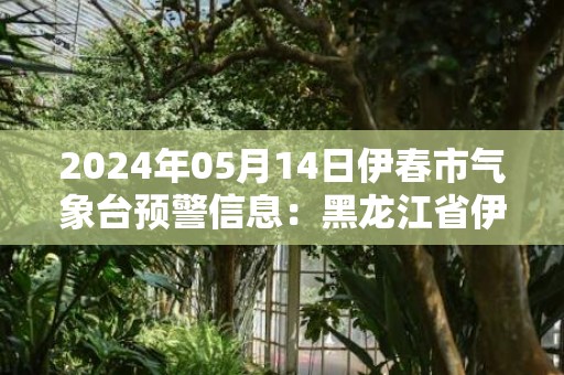 2024年05月14日伊春市气象台预警信息：黑龙江省伊春市发布大雾黄色预警