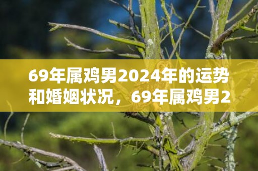 69年属鸡男2024年的运势和婚姻状况，69年属鸡男2024年感情婚姻