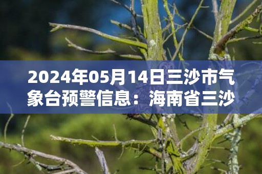 2024年05月14日三沙市气象台预警信息：海南省三沙市发布雷雨大风黄色预警