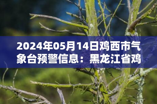 2024年05月14日鸡西市气象台预警信息：黑龙江省鸡西市发布大风蓝色预警