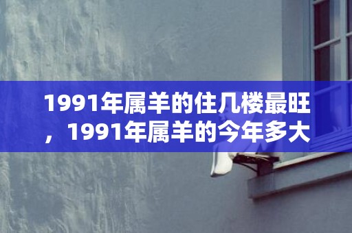 1991年属羊的住几楼最旺，1991年属羊的今年多大了