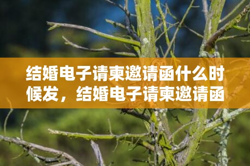 结婚电子请柬邀请函什么时候发，结婚电子请柬邀请函通常多少张相片啊 婚礼邀请函放几张照片