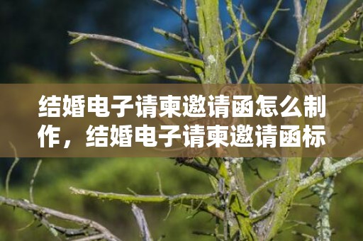 结婚电子请柬邀请函怎么制作，结婚电子请柬邀请函标题怎么写好 年会邀请函怎么写