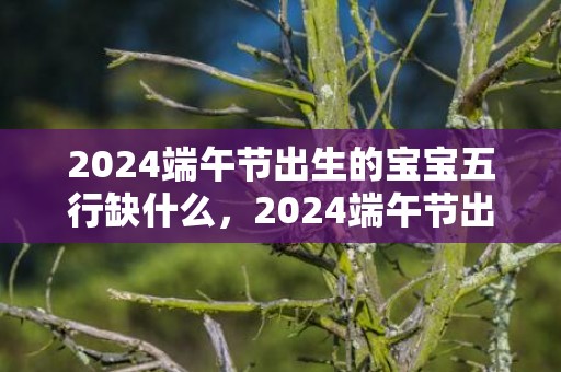 2024端午节出生的宝宝五行缺什么，2024端午节出生的属兔宝宝小名大全