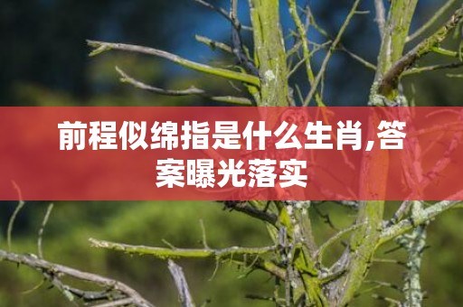 前程似绵指是什么生肖,答案曝光落实