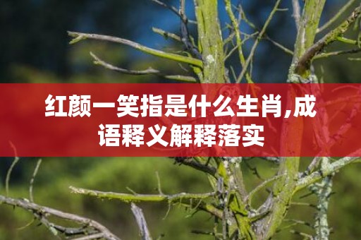 红颜一笑指是什么生肖,成语释义解释落实