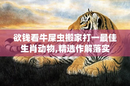 欲钱看牛屎虫搬家打一最佳生肖动物,精选作解落实