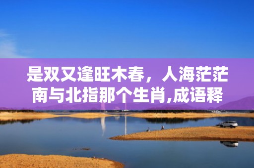 是双又逢旺木春，人海茫茫南与北指那个生肖,成语释义解释落实