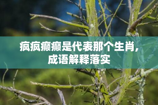 疯疯癫癫是代表那个生肖,成语解释落实