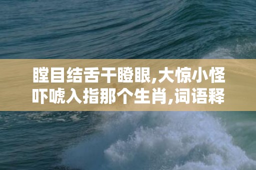 瞠目结舌干瞪眼,大惊小怪吓唬入指那个生肖,词语释义解释落实