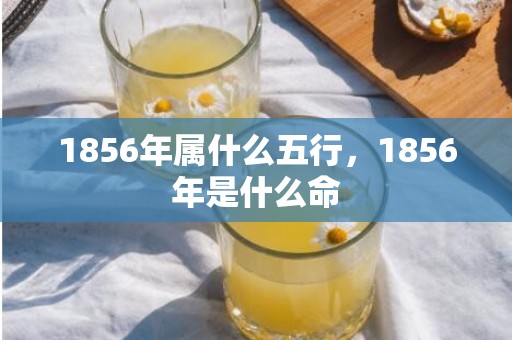 1856年属什么五行，1856年是什么命