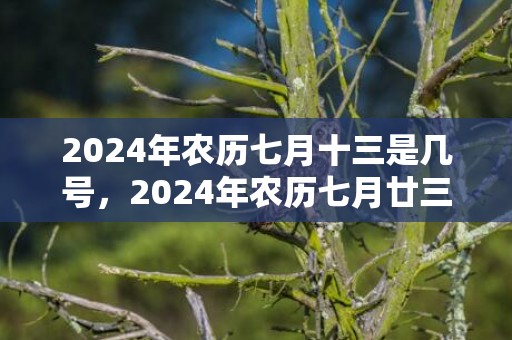 2024年农历七月十三是几号，2024年农历七月廿三出生的男孩运势如何
