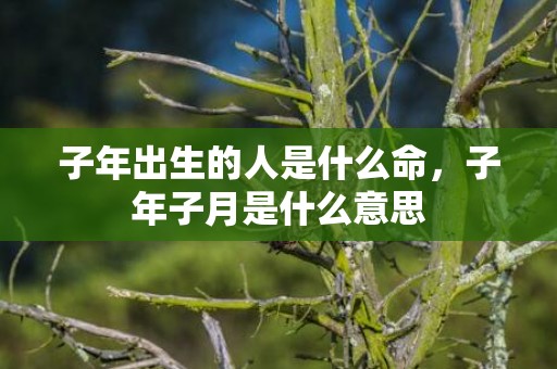 子年出生的人是什么命，子年子月是什么意思
