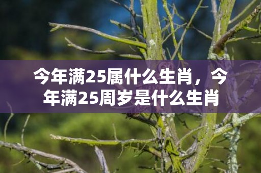 今年满25属什么生肖，今年满25周岁是什么生肖