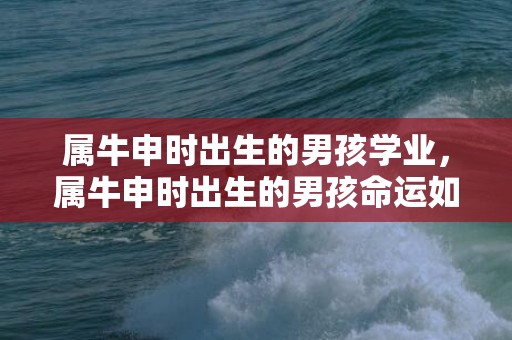 属牛申时出生的男孩学业，属牛申时出生的男孩命运如何