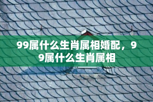 99属什么生肖属相婚配，99属什么生肖属相
