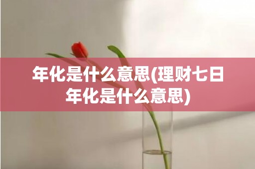 年化是什么意思(理财七日年化是什么意思)