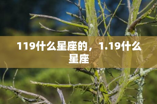 119什么星座的，1.19什么星座