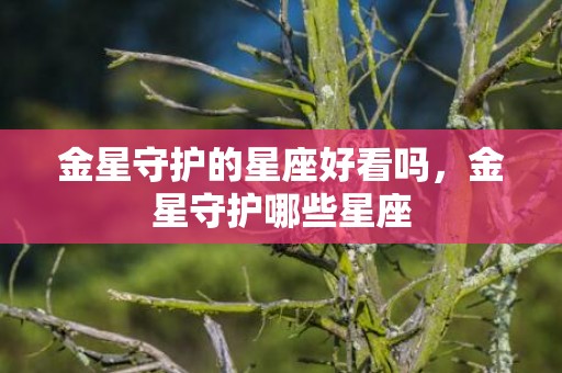 金星守护的星座好看吗，金星守护哪些星座