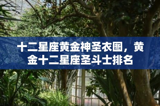 十二星座黄金神圣衣图，黄金十二星座圣斗士排名