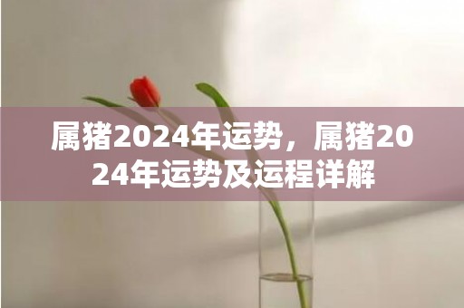 属猪2024年运势，属猪2024年运势及运程详解