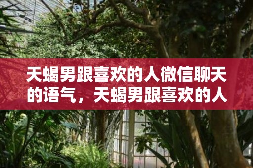 天蝎男跟喜欢的人微信聊天的语气，天蝎男跟喜欢的人聊天的语气