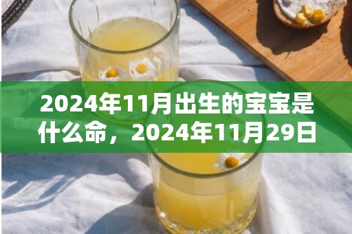 2024年11月出生的宝宝是什么命，2024年11月29日出生的人五行属什么缺什么