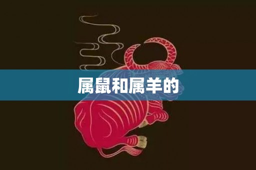 属鼠和属羊的