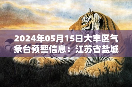 2024年05月15日大丰区气象台预警信息：江苏省盐城市大丰区发布大风橙色预警