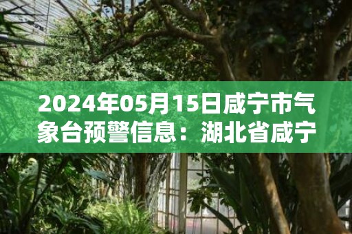 2024年05月15日咸宁市气象台预警信息：湖北省咸宁市发布大风蓝色预警