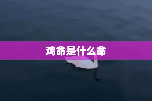 鸡命是什么命