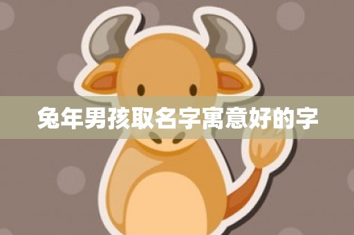 兔年男孩取名字寓意好的字