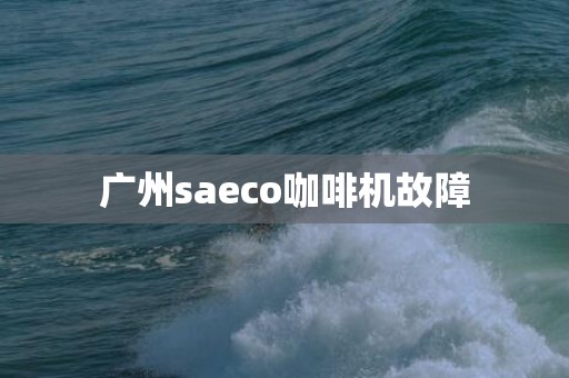 广州saeco咖啡机故障
