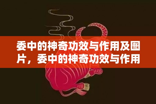 委中的神奇功效与作用及图片，委中的神奇功效与作用