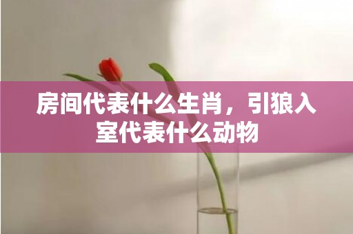 房间代表什么生肖，引狼入室代表什么动物