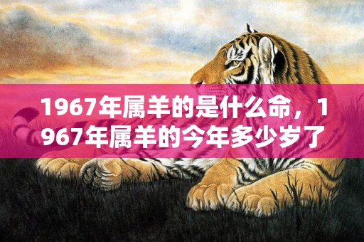 1967年属羊的是什么命，1967年属羊的今年多少岁了