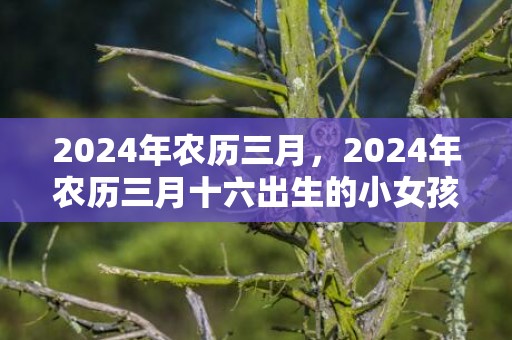 2024年农历三月，2024年农历三月十六出生的小女孩起什么名字好