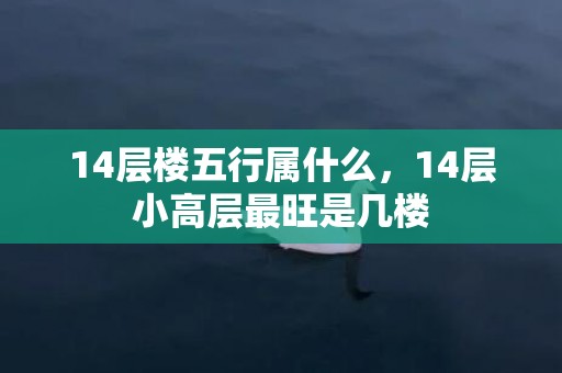 14层楼五行属什么，14层小高层最旺是几楼