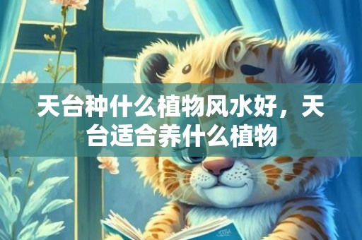 天台种什么植物风水好，天台适合养什么植物