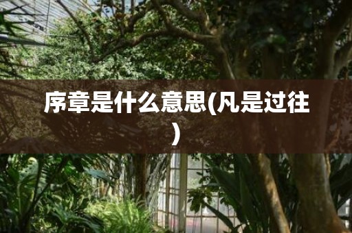 序章是什么意思(凡是过往)