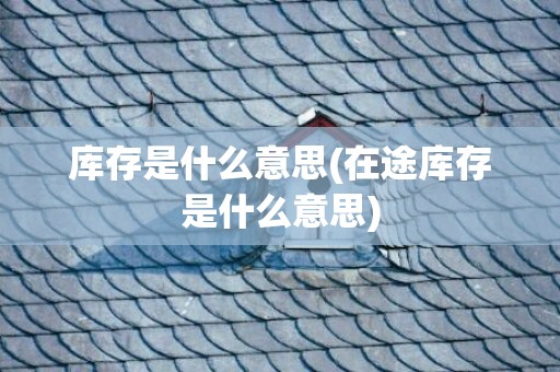 库存是什么意思(在途库存是什么意思)