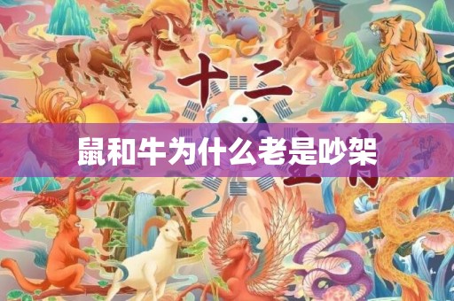 鼠和牛为什么老是吵架