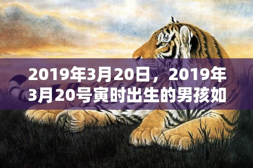 2019年3月20日，2019年3月20号寅时出生的男孩如何起名