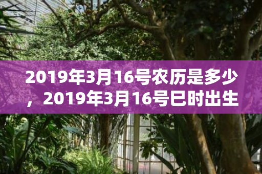2019年3月16号农历是多少，2019年3月16号巳时出生的男孩要怎么起名字
