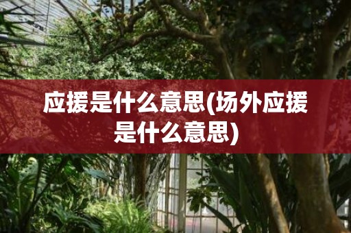 应援是什么意思(场外应援是什么意思)