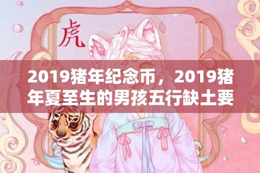 2019猪年纪念币，2019猪年夏至生的男孩五行缺土要怎么起名字