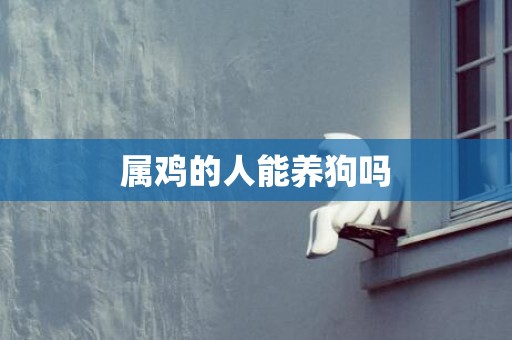 属鸡的人能养狗吗
