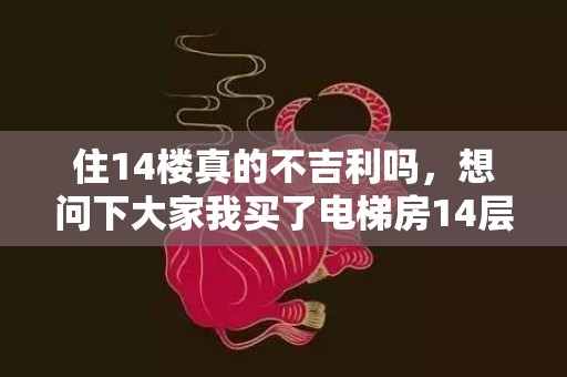 住14楼真的不吉利吗，想问下大家我买了电梯房14层楼好吗